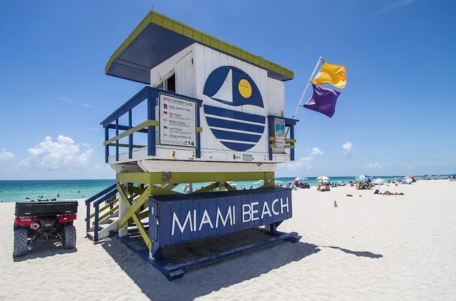 La plage de Miami Beach, en Floride, bordée de palmiers